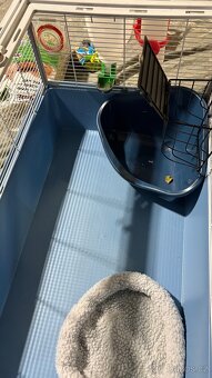 klec pro zakrslý králík nebo morče - 3