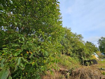 Zahrada 1000 m2 Nová Ves u Pláně - 3