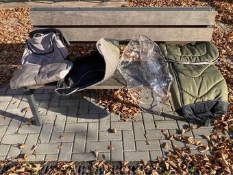 Husky baby design - 3