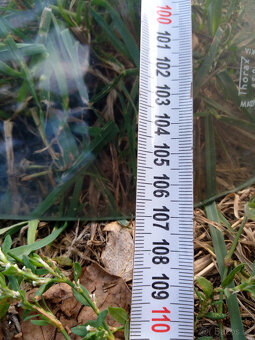 Škoda 706 RT Mates Trambus čelní skla - 3