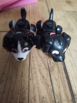 Pet parade pejsci. - 3