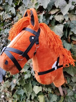 Hobby horse - 3