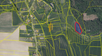 Prodej zemědělské pozemku o CP 3562 m2 v obci Prachov - 3