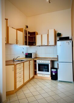 Pronájem 2kk 64m2 Milovice - 3