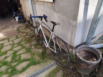 Specialized Secteur Elite 2012 - 3
