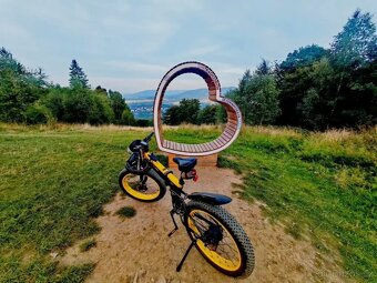 LANKELEISI T750 Electric Bike Big Fork 17.5Ah Battery 48V - 3