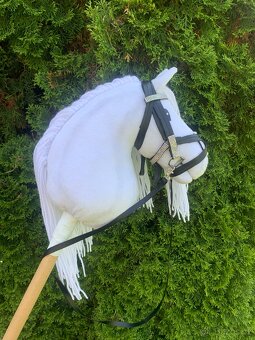 Hobby horse - 3