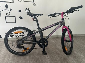 Author cosmic 20" zoll - 3