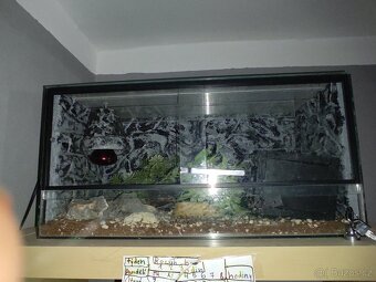 Terarium - 3
