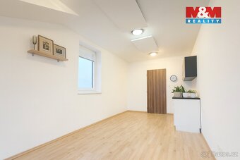 Pronájem bytu 1+kk, 29 m², Třebohostice - 3