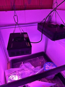 Vipar spectra v-300 - 3