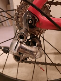 Author CA66 Charisma - 3