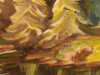 Obraz Vydra - Šumava, olejomalba 64x85 - 3