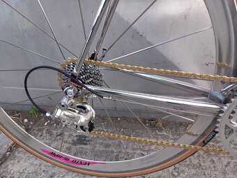 Daccordi campagnolo - 3