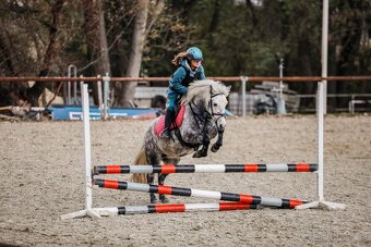 Predam sportovu pony S - 3