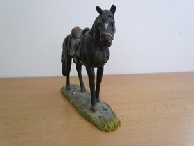Kůň - 3