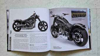 Harley Davidson Softail - 3