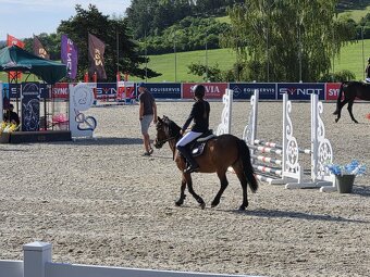 PONY pro princezny - 3