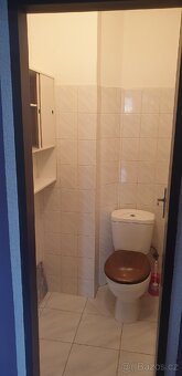 Pronájmu byt 1+1 na Březové - 3