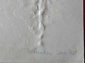 Prodám originální novoročenky, PF Olbrama Zoubka - 3