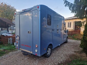 Přepravní na koně Renault Master Paragan Excelsion 5 - 3