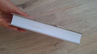 Návrat do Čech /dopisy z let 1990–1999/ - Ivan Diviš - 3