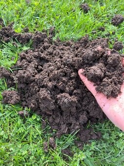 Vermikompost - 5L - 3