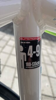 Superior Paint 20 - 3