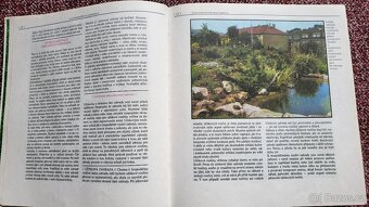 Moderní zahrada - Vladimír Mölzer - 3