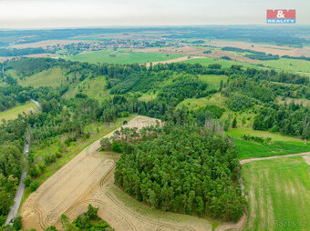 Prodej lesa v Budišově - 3