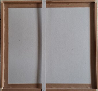 Boris Jirků - Anannas (sítotisk) - 3