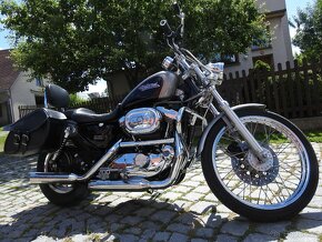 Harley Davidson Nezezové laděné výfuky Thundering Eagle Nové - 3