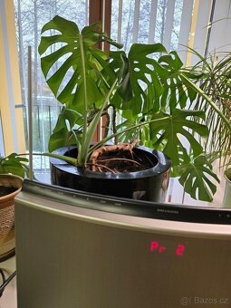 Hudební systém - Bang & Olufsen BeoSound 1 (2001) - jako nov - 3