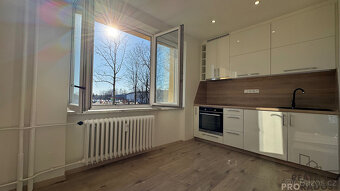 Prodej bytu 1+kk 23 m², E.Krásnohorské , Havířov - Podlesí - 3