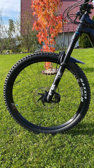 Canyon Strive CF 7.0 2019 - 3
