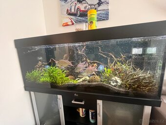Akvarijní komplet 450l. - 3