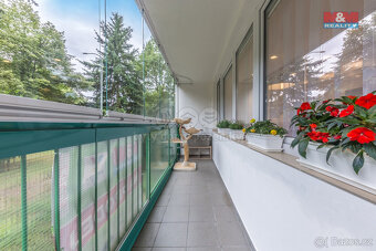 Prodej bytu 3+kk s lodž. 63 m², Praha, ul. Veltruská-Prosek - 3