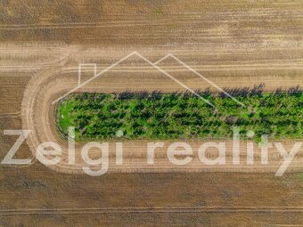 Prodej meruňkového sadu – 8 494 m², Zaječí - 3