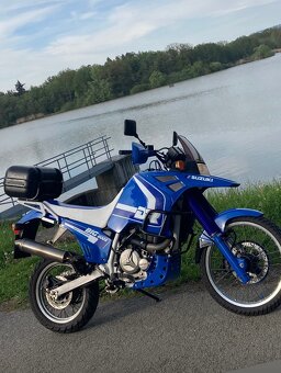 Suzuki DR Big 800s - 3