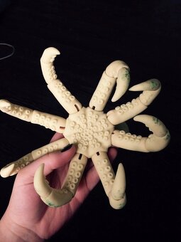 BJD chobotnice - 3