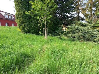 Prodej pozemku 308 m² - Blansko - Těchov - 3