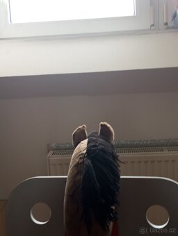 Hobby horse na prodej - 3
