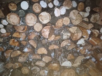 Suché tvrdé dřevo - 3