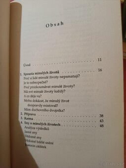 Léčení minulými životy - 3