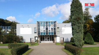 Pronájem kancelářského prostoru, 13 m², Ústí nad Orlicí - 3