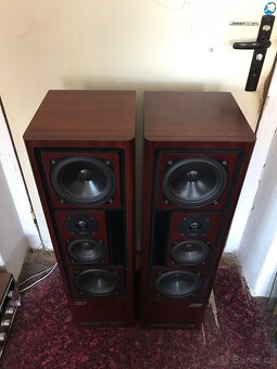 ASW Cantius ml V - 3