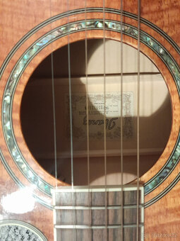 Kytara IBANEZ AEL20 - 3