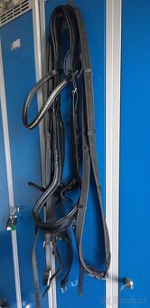 Uzdečka Schockemöhle Equitus Alpha Special anatomická - 3