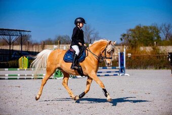 Pony do sportu 135cm - 3