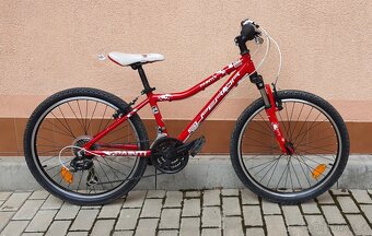 Dětské kolo Superior Paint 24 - 3